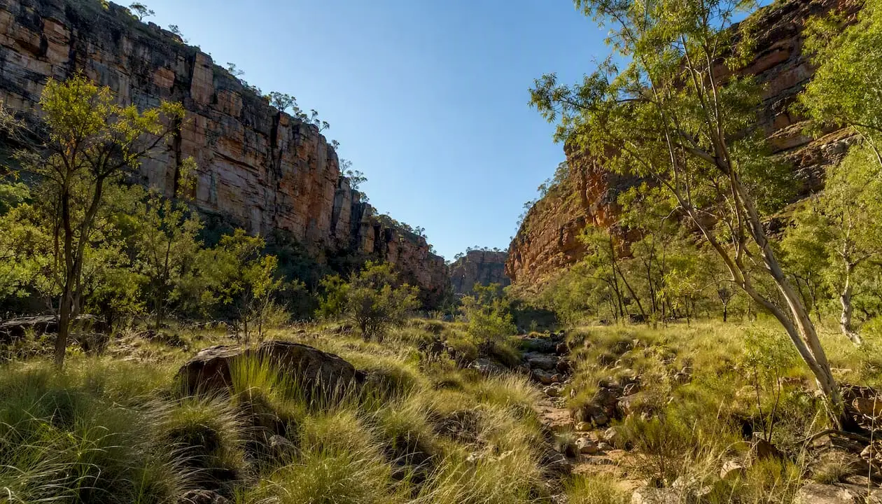 Sunlit tropical gorge landscape in dry season