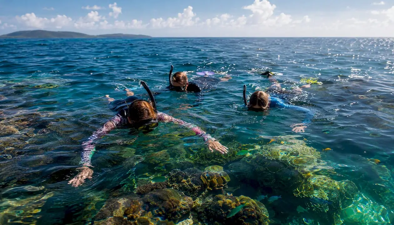 Small group snorkeling Great Barrier Reef