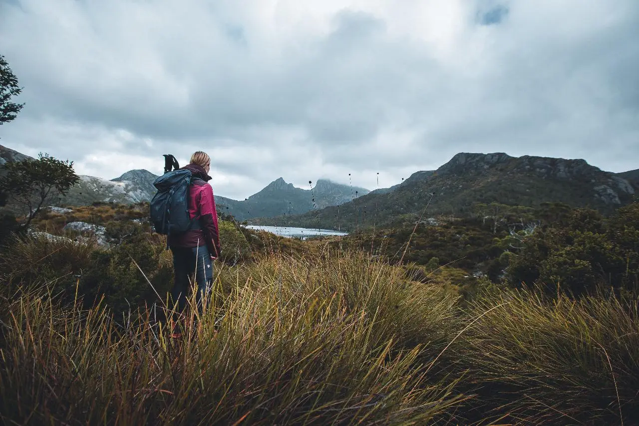 Cradle Mountain Dove Lake Day Tour from Launceston