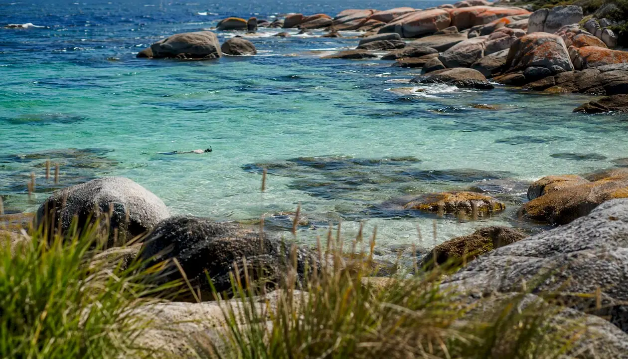 Swimmer snorkeling at Bay of Fires beach