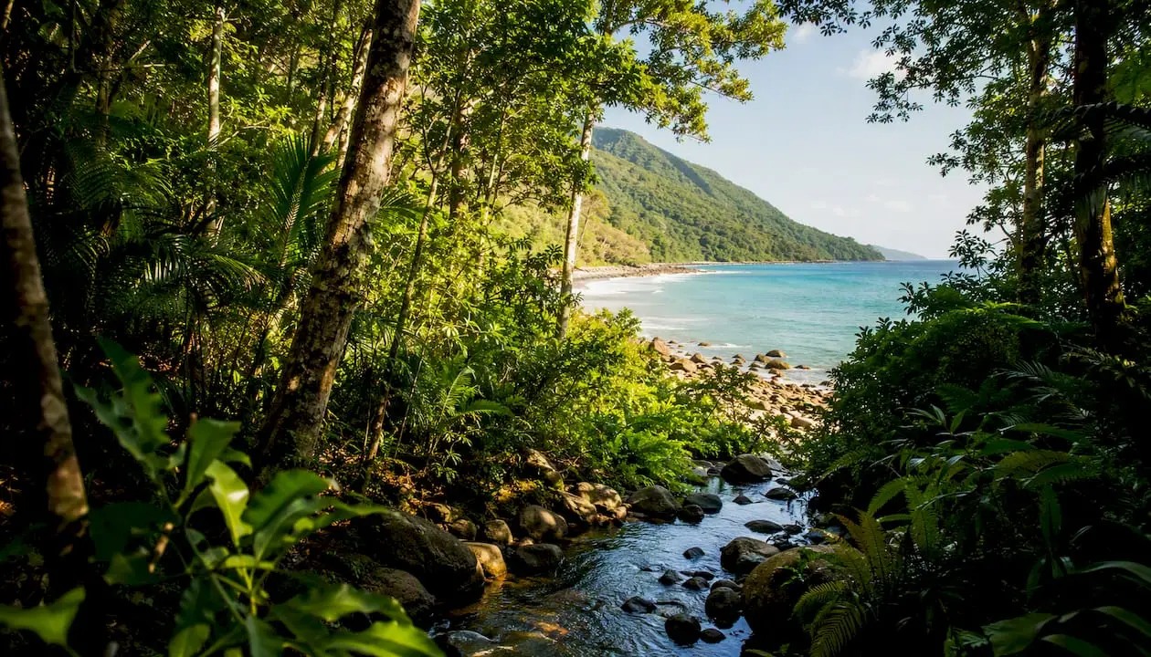 Daintree rainforest meeting Great Barrier Reef coastline