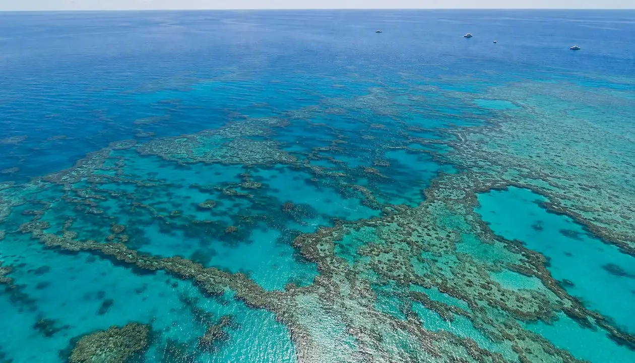 Aerial view of Great Barrier Reef coral formations