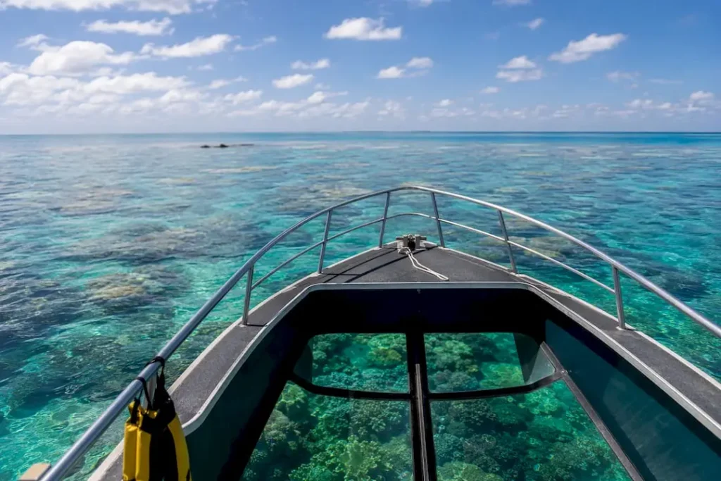 Great Barrier Reef for non swimmers: what to expect