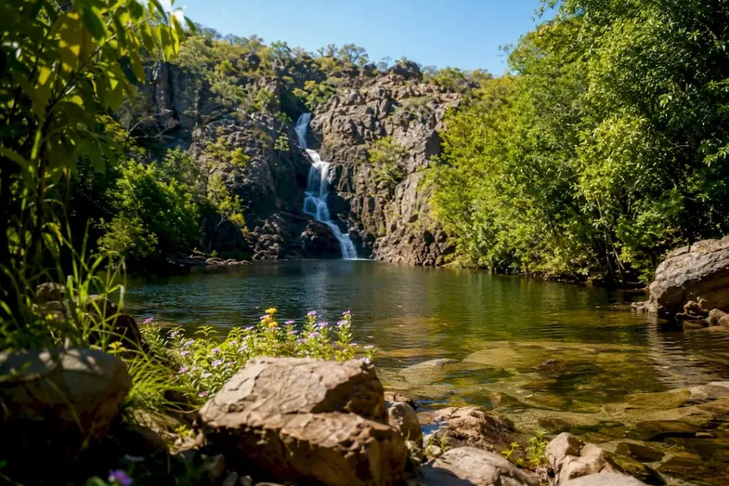 Kakadu vs Litchfield: which Top End park suits your trip?