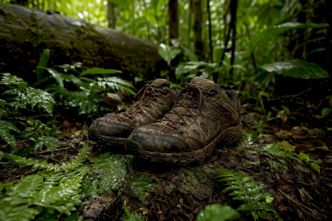 Walking shoes on rainforest floor