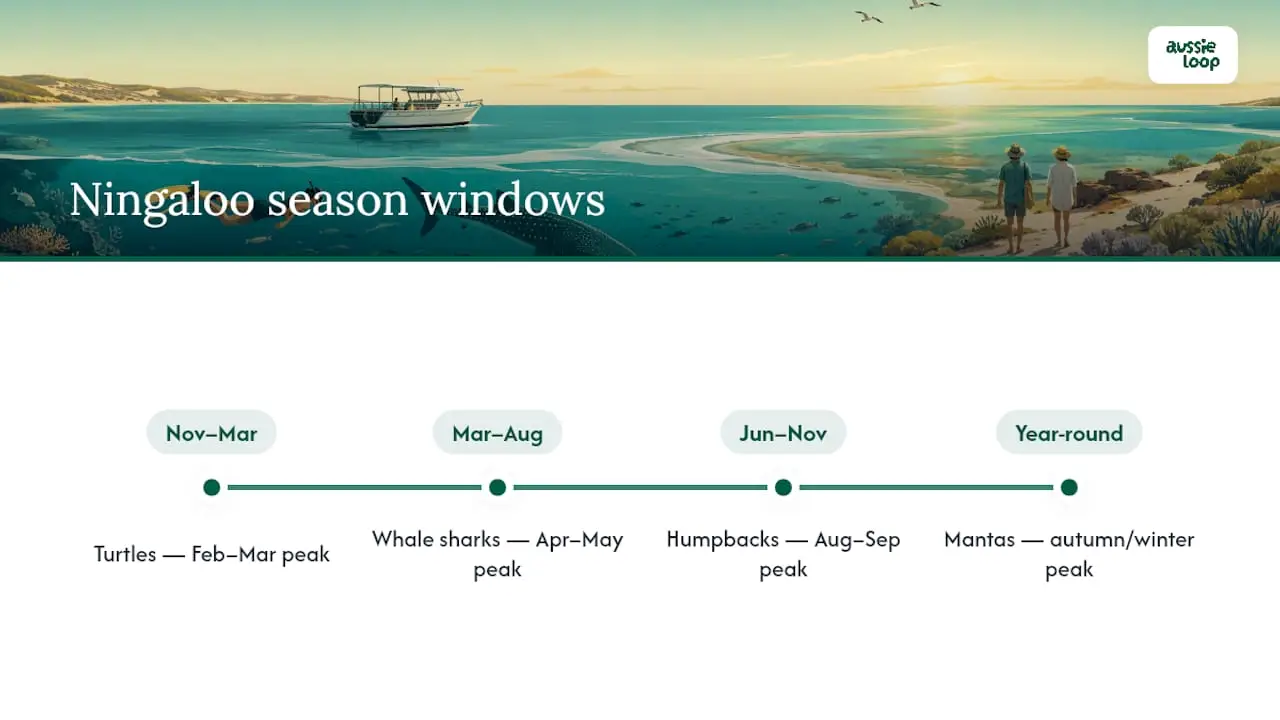 Seasonal calendar of Ningaloo Reef marine species presence