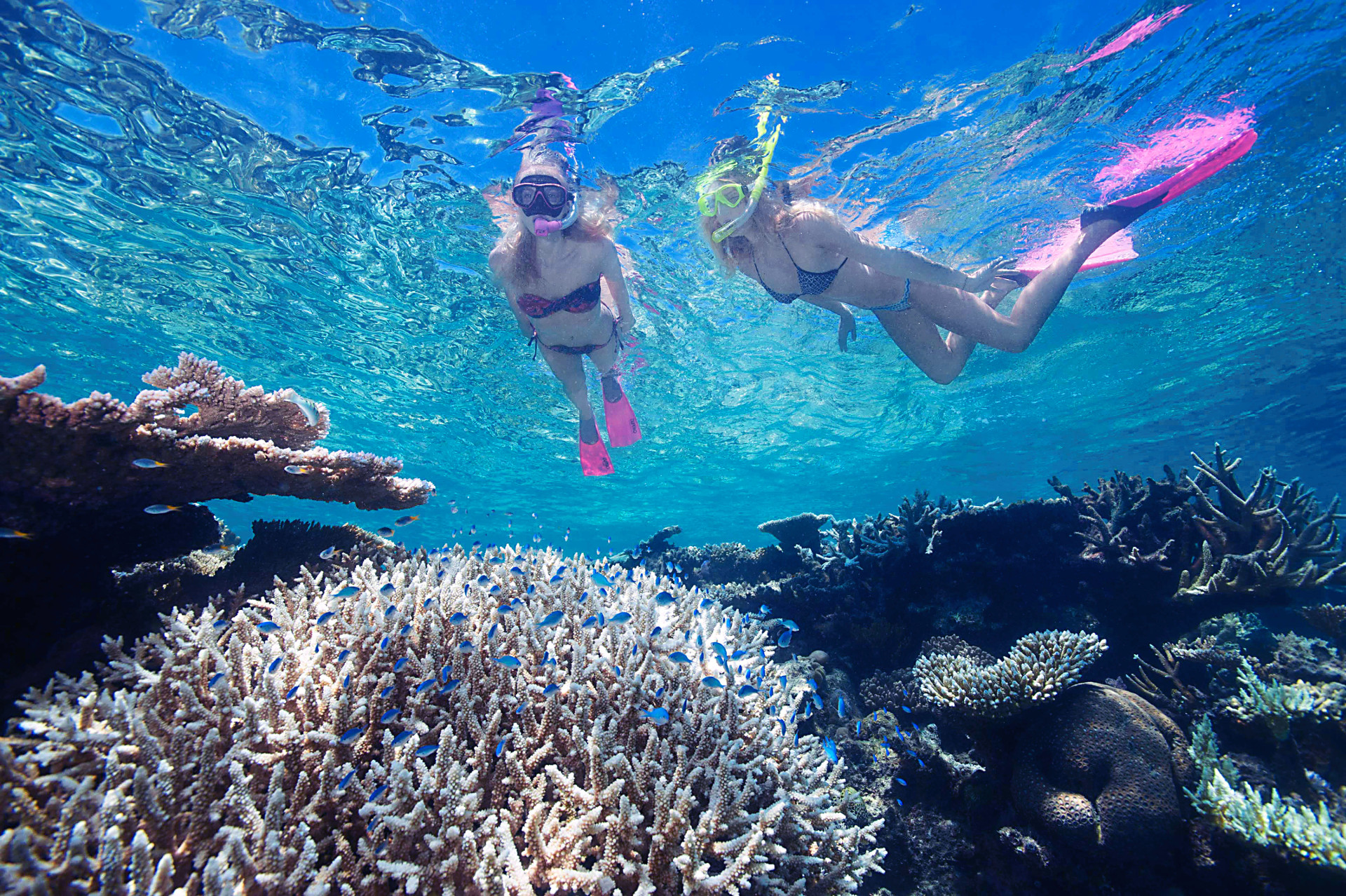 Great Barrier Reef